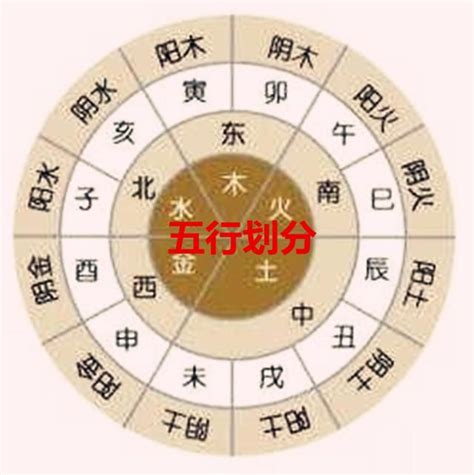 子水 陰陽|八字入門：地支的陰陽屬性以及生克關係（七）